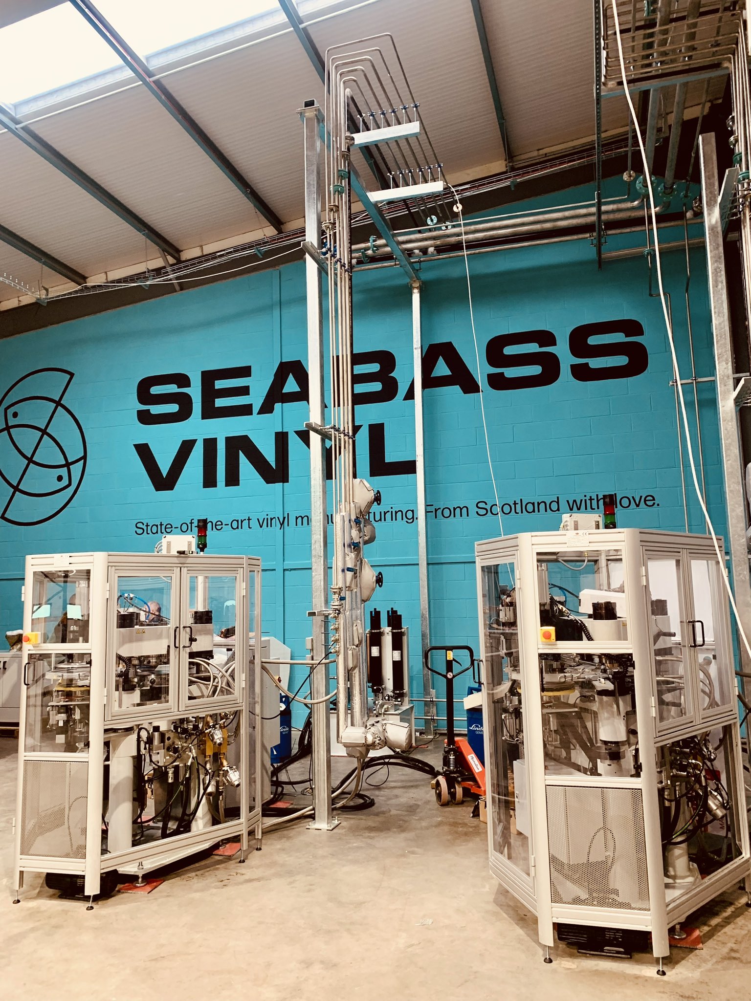 Seabass Vinyl